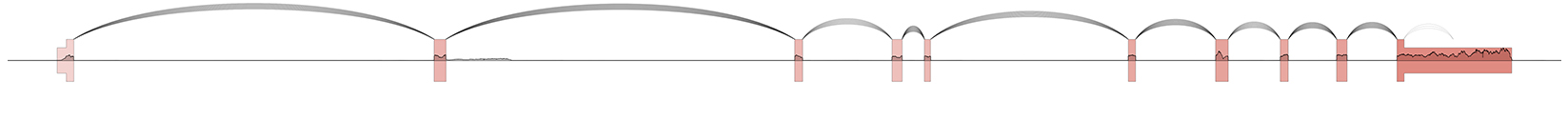 _images/example1.jpg