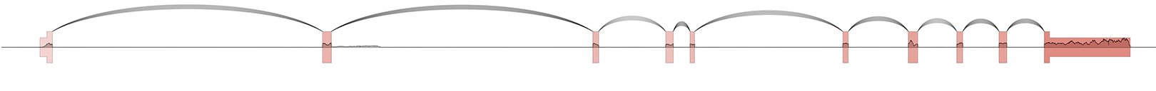 _images/example2.jpg