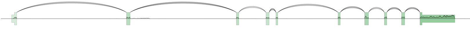 _images/example3.jpg