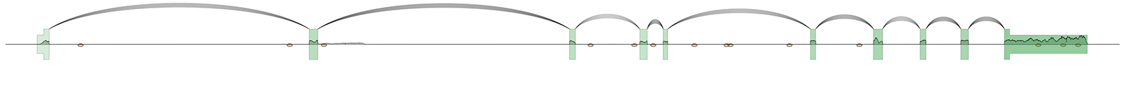 _images/example4.jpg