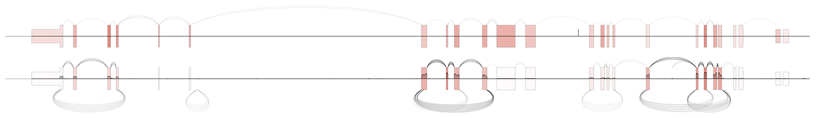_images/example5.jpg