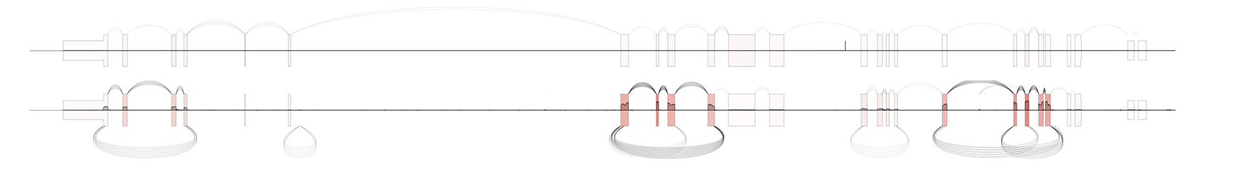 _images/example6.jpg